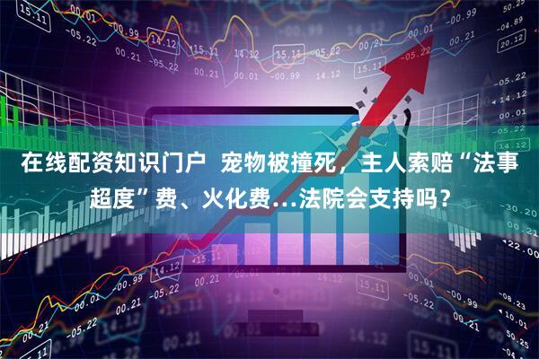 在线配资知识门户  宠物被撞死，主人索赔“法事超度”费、火化费…法院会支持吗？